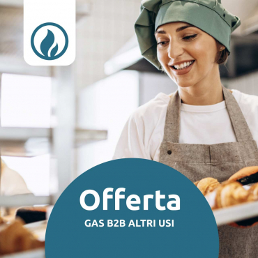 GAS-B2B-Altri-Usi-