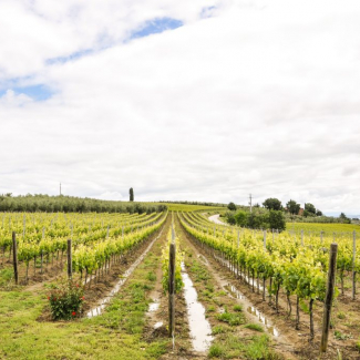 cantineaperte-11-1024x680