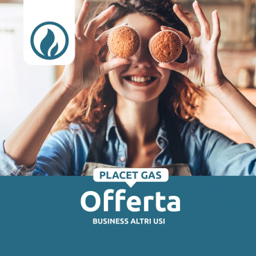 PLACET-GAS-BUSINESS-Altri-Usi